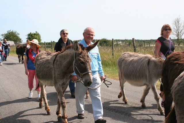 2015-07-06 rando anes (24).JPG